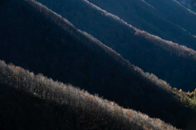 _DSC0948b.jpg