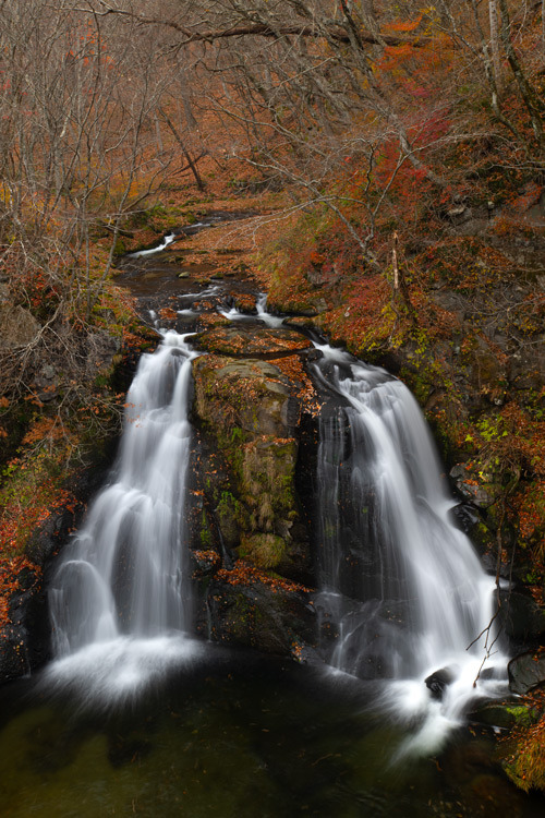 _DSC1415b.jpg