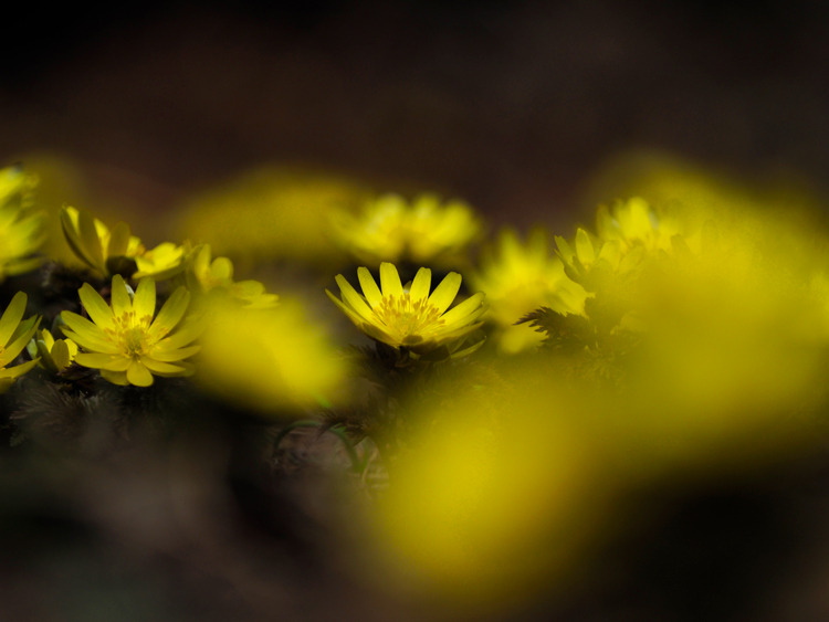 _0201199b.jpg