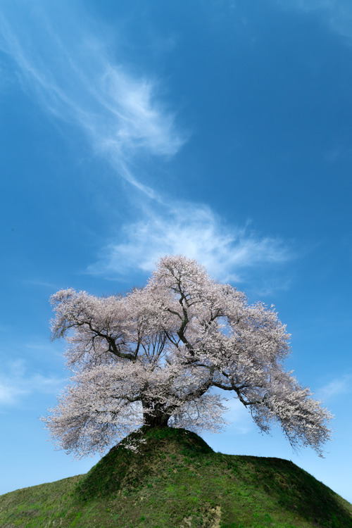 _DSC2376b.jpg