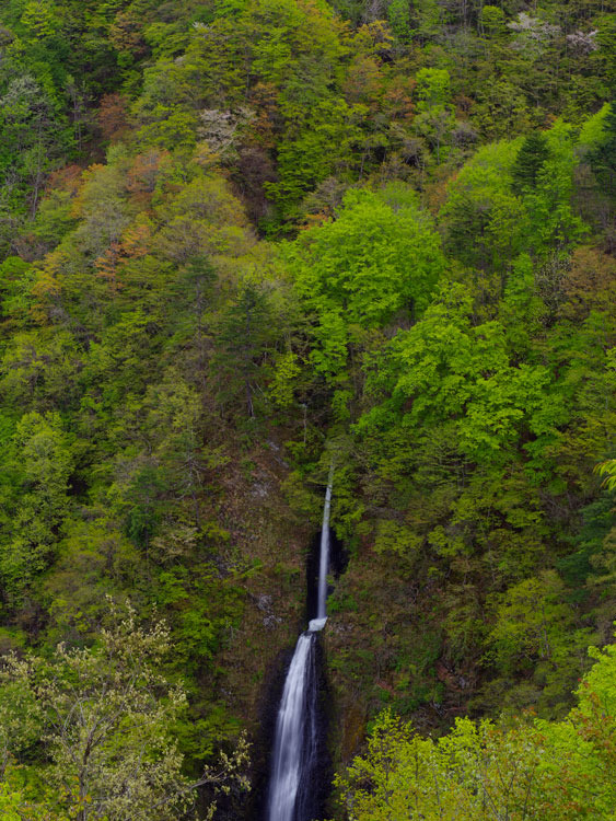_IMG0694b.jpg
