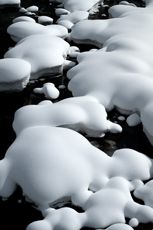 _DSC3761b.jpg
