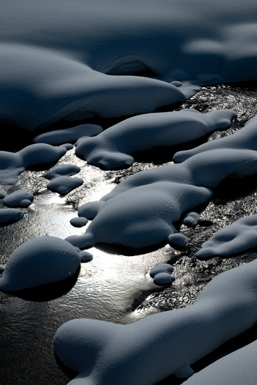 _DSC3834b.jpg