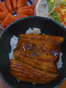 bowl-of-rice-toped-with-grilled-eel.jpg